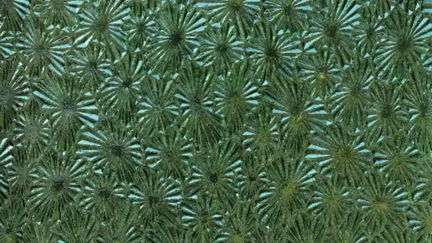 Textured Window Glass Treatment for Privacy
